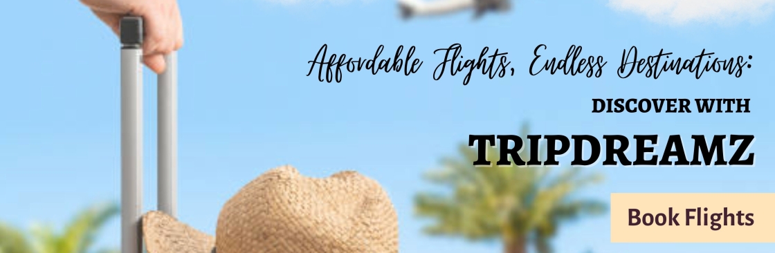 trip dreamz Cover Image