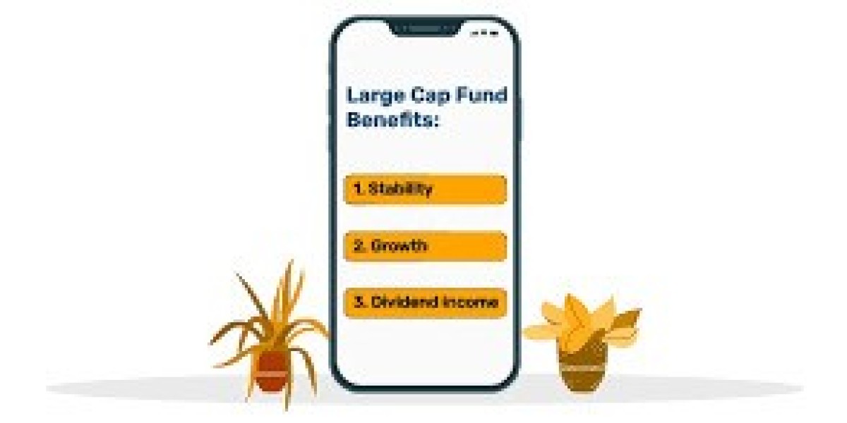 Large Cap Funds: The Foundation of a Stable