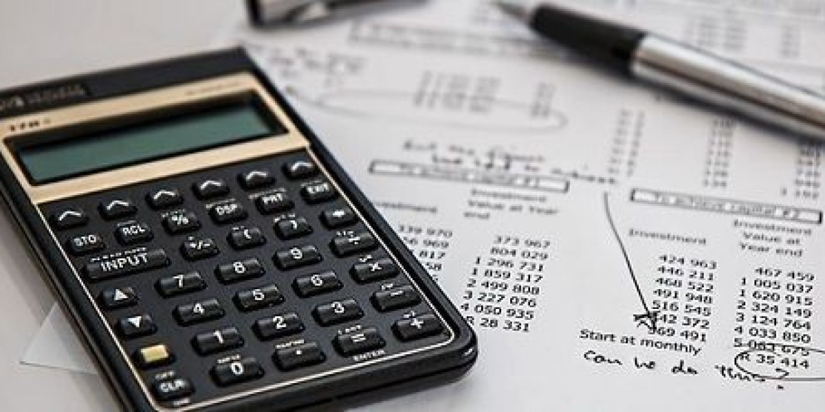 How Financial Feasibility Services Minimize