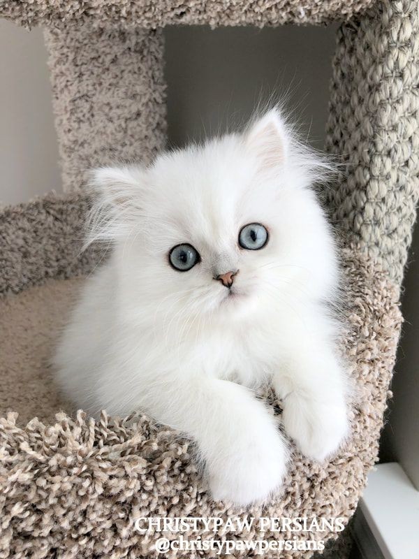 Ruby Taylor Profile Picture