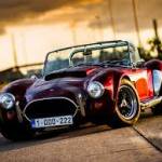 Vernie Leuschke Profile Picture