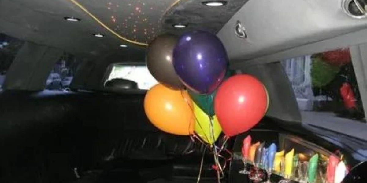 Party Bus Service Chicago