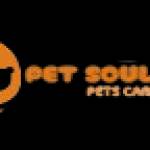 petsoulcare01 Profile Picture