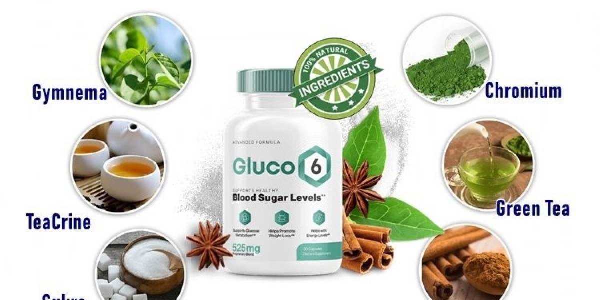 A Comprehensive Guide to Blood Balance with Gluco6 Blood Sugar Support
