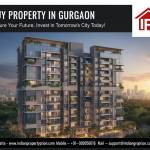 indianproperty options Profile Picture