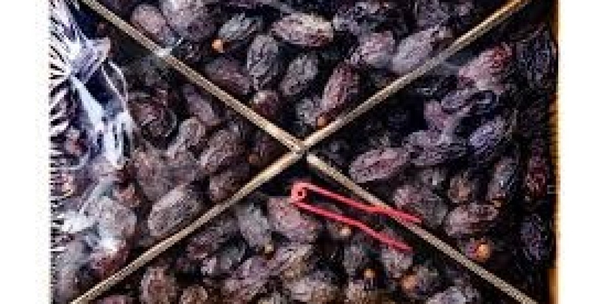 Medjoul Dates: A Natural Delight Packed with Nu