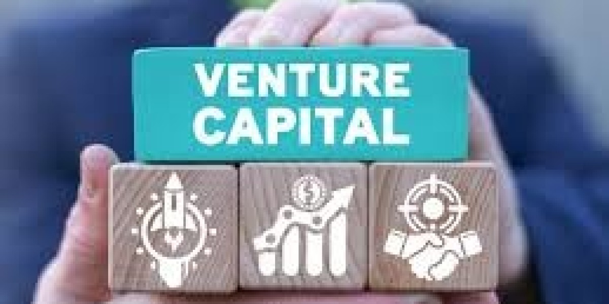 India Venture Capital Investment Market Report