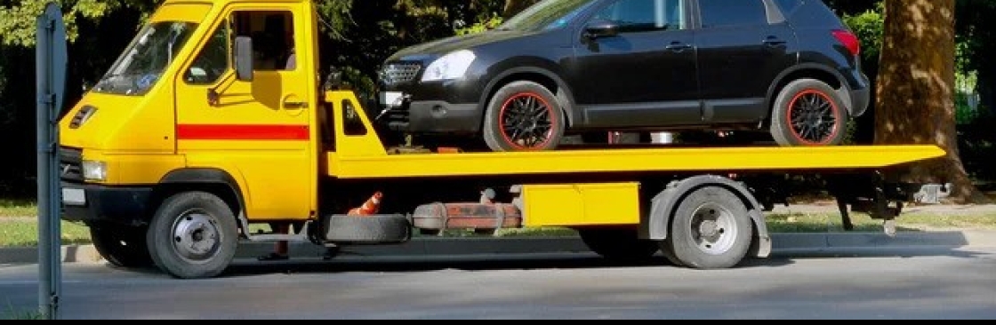 Malden Matowing Cover Image