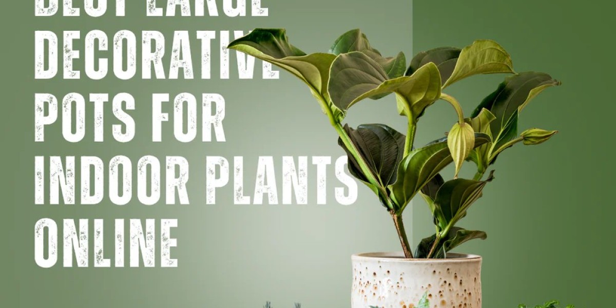 Buy the Best Large Decorative Pots for Indoor P