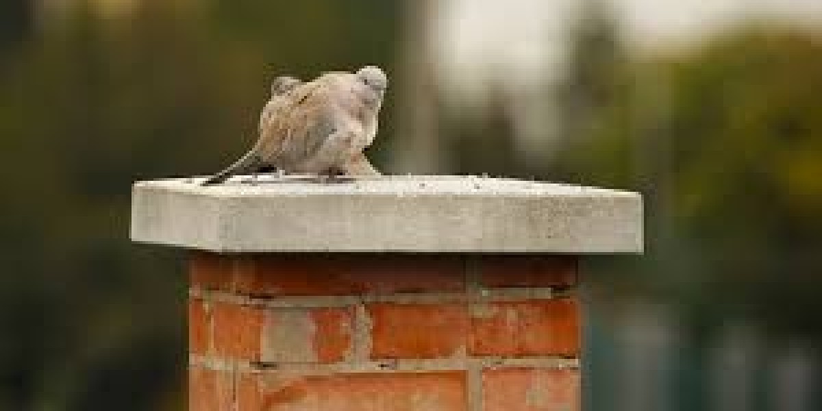 What’s Making Noise in Your Chimney?