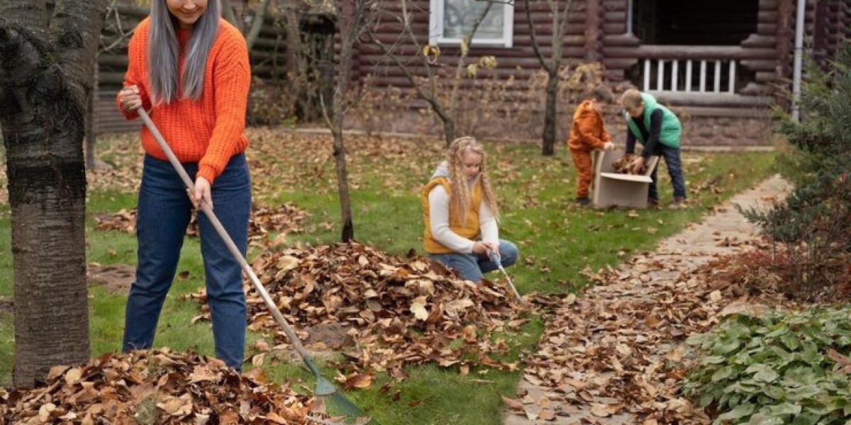 Effective Drainage Install Solutions for Your P