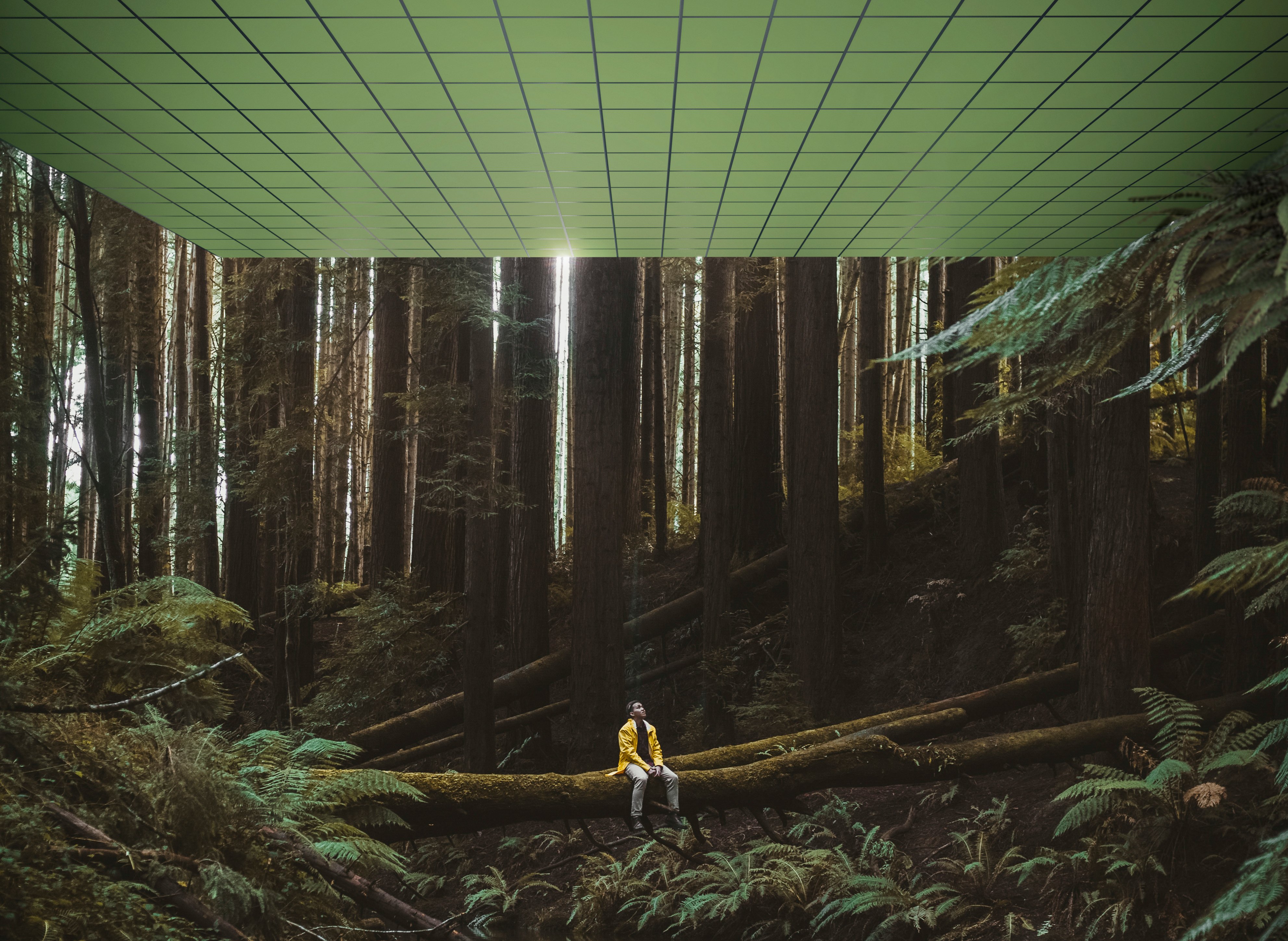 Acoustic wall panels | Acoustic solutions | Ecophon