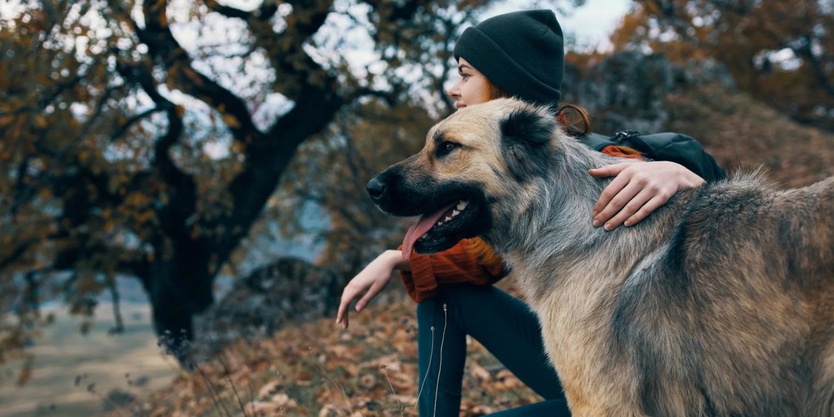 Top Benefits of Shopping at Pet Supply Stores f
