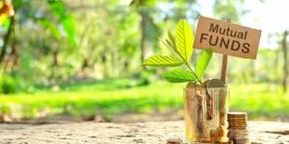 Mutual Fund Investment Return Calculator