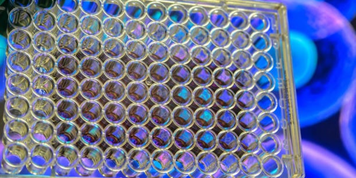 Cell Culture Market Insights: Key Applications,