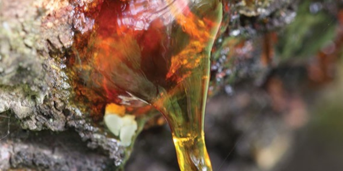 Global Resins Market Size Analysis, Growth