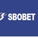 sbobetnow now Profile Picture