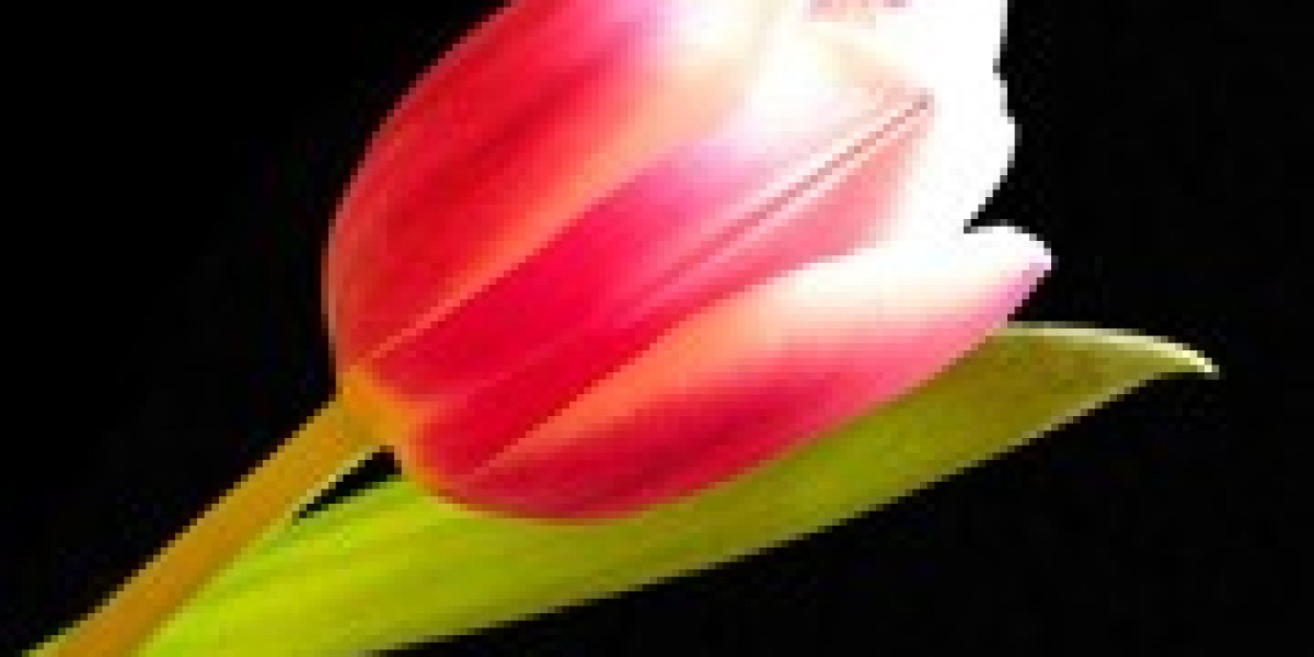 Digital Marketing-SEO Services Professional | I