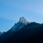 sherpa teams Profile Picture