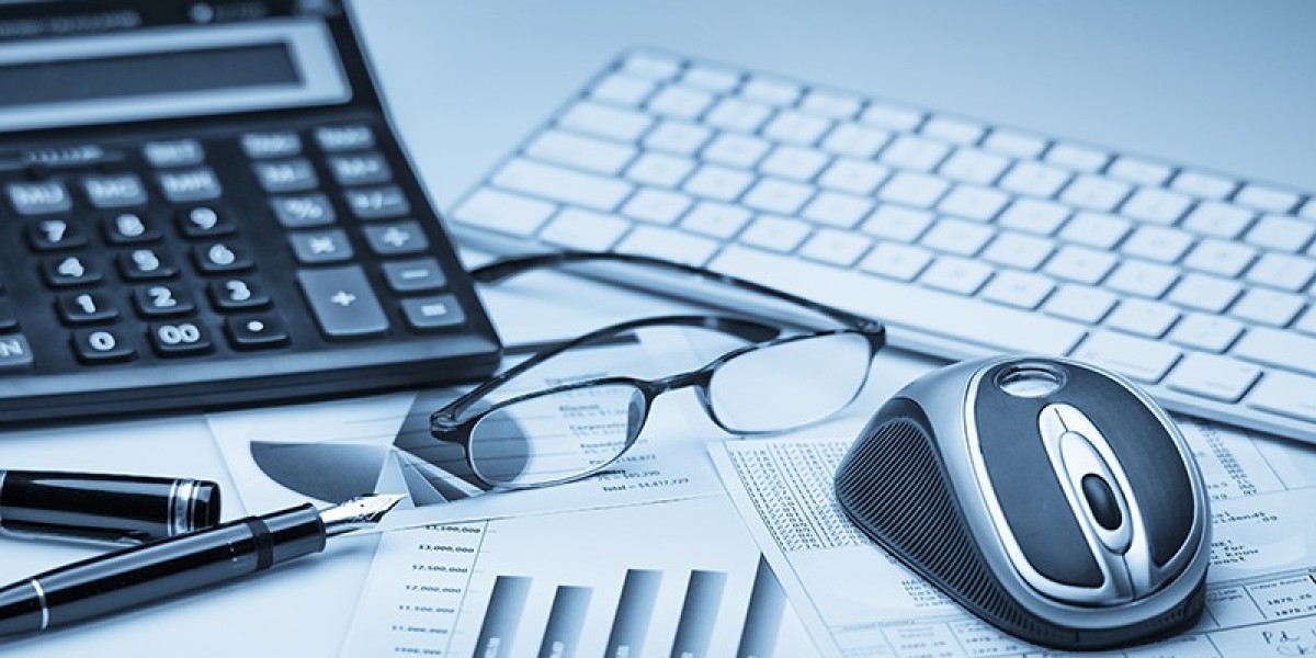 How Financial Feasibility Services Minimize