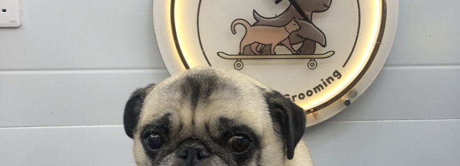 Fluffy Tails Qatar Cover Image