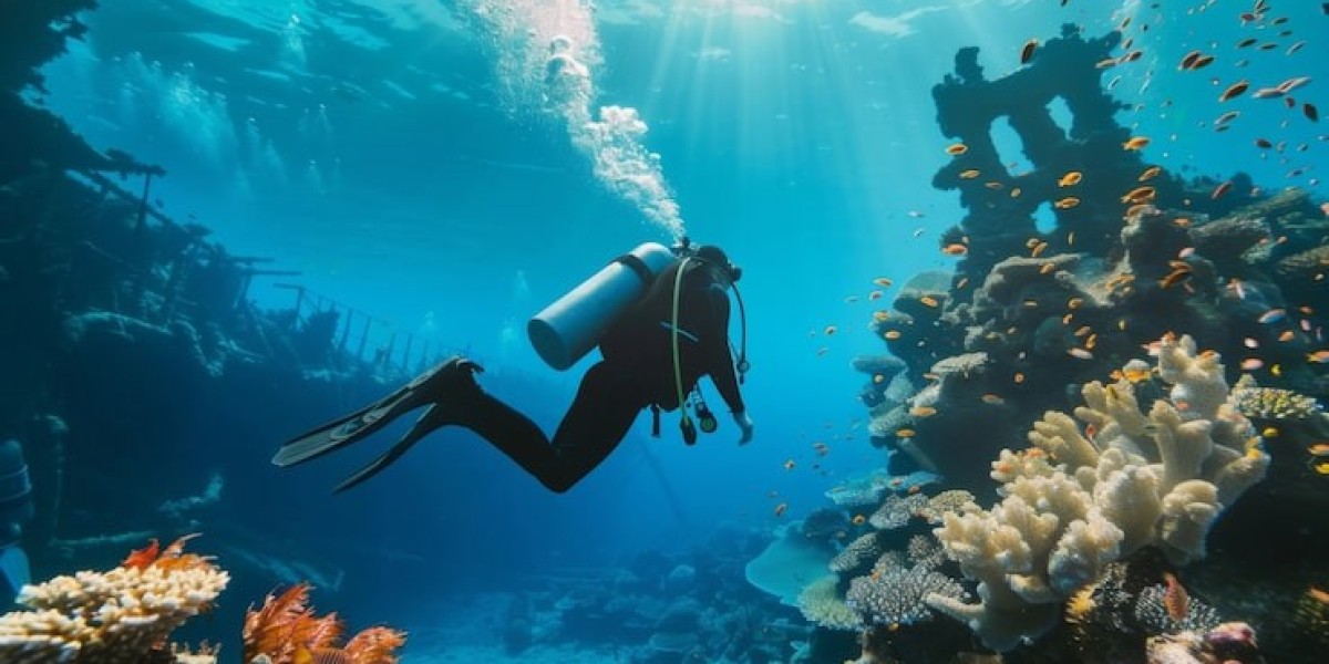Scuba Diving and Underwater Exploration Tips Ev