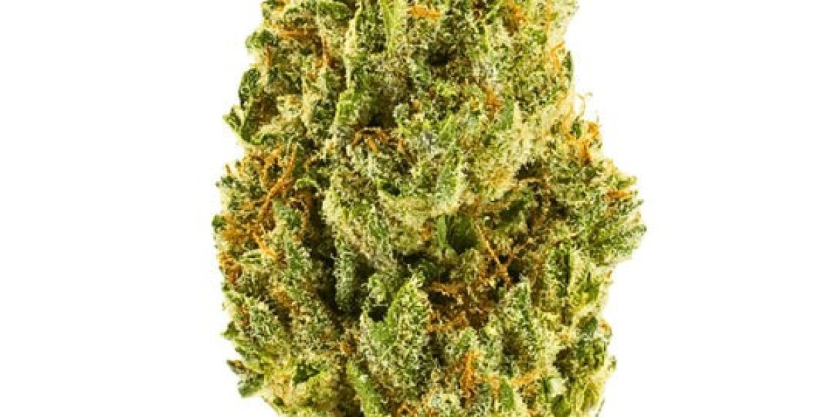 Tincture Oils: Versatile & Easy to Use