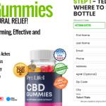 DavideJonzales DavideJonzales Profile Picture