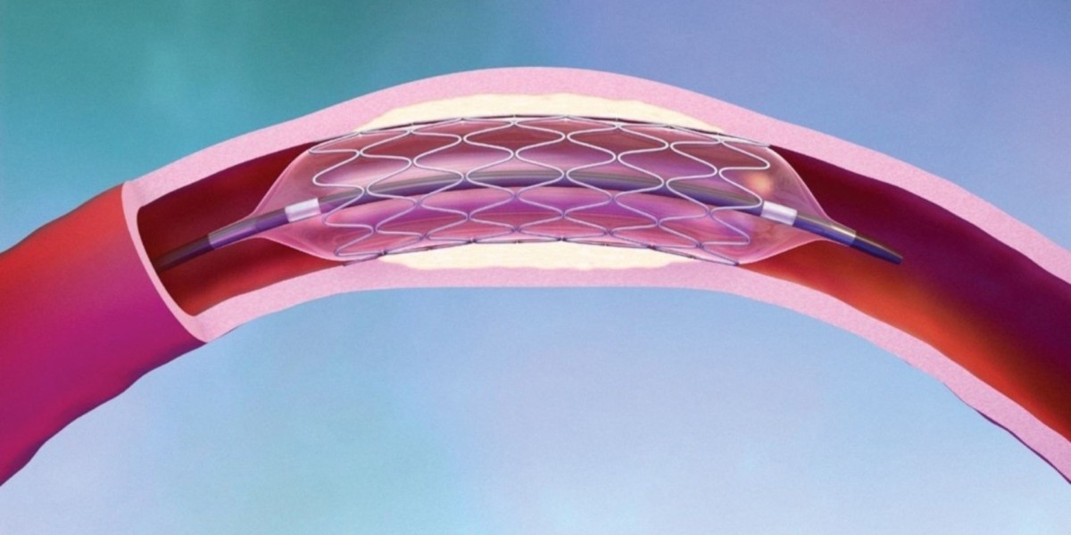 Explore the Angioplasty Balloons Market