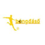 bongdasowiki1 Profile Picture