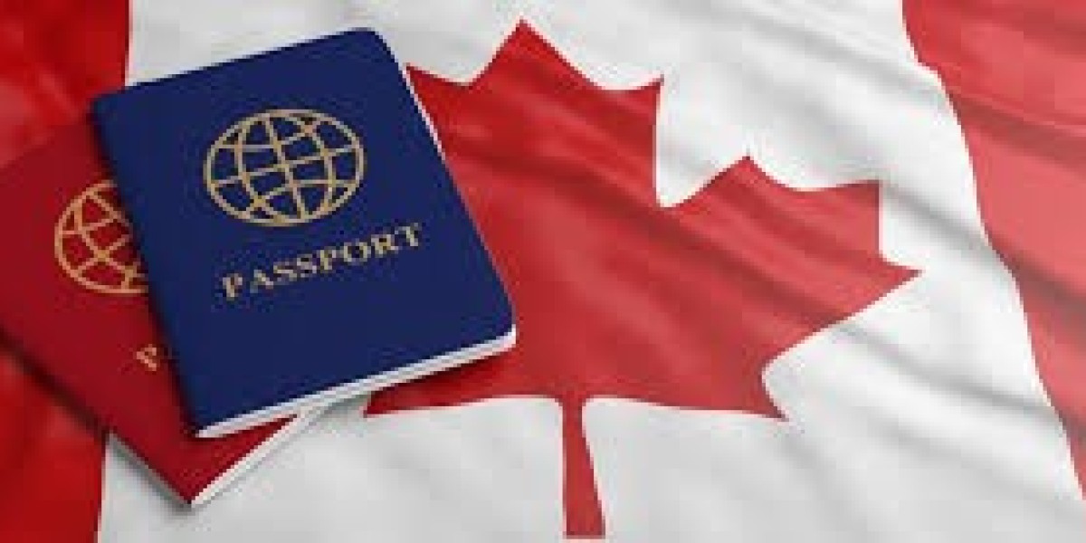How to Choose the Right Immigration Consultant