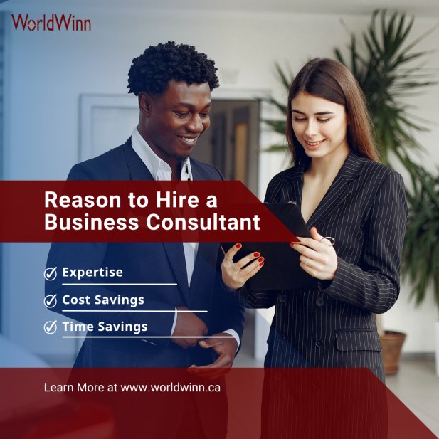 5 Reasons to Hire a Seasoned Business Consultant Article - ArticleTed -  News and Articles