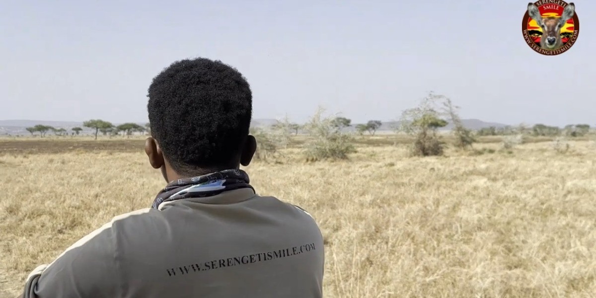 Discover the Magic of Private Tanzania Safari