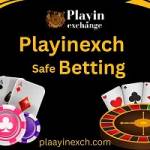 playinexch365 Profile Picture