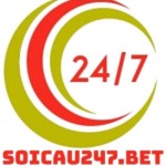 Soicau247 Chốt Kèo Dự Đoán Xổ Số Uy Tín 24 7 Profile Picture