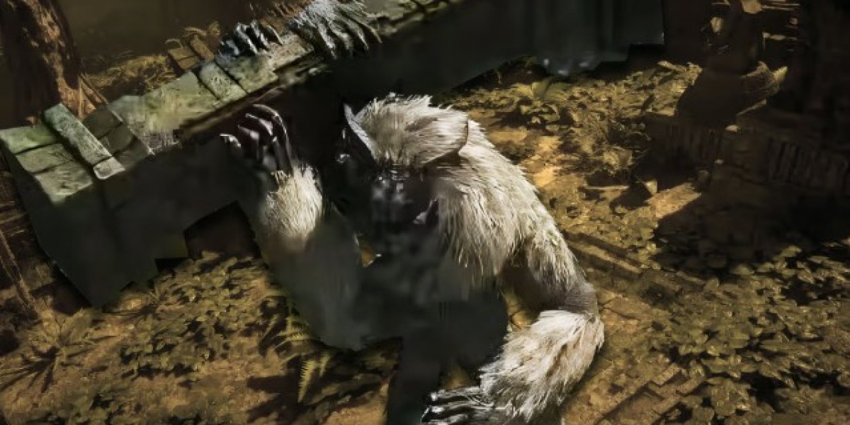 Poe 2 trade: A Complete Guide to Ascension