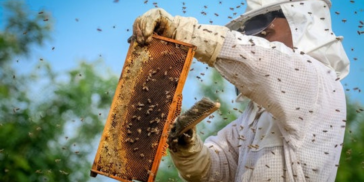 Saving Bees, Saving Homes: Eco-Safe Bee Removal