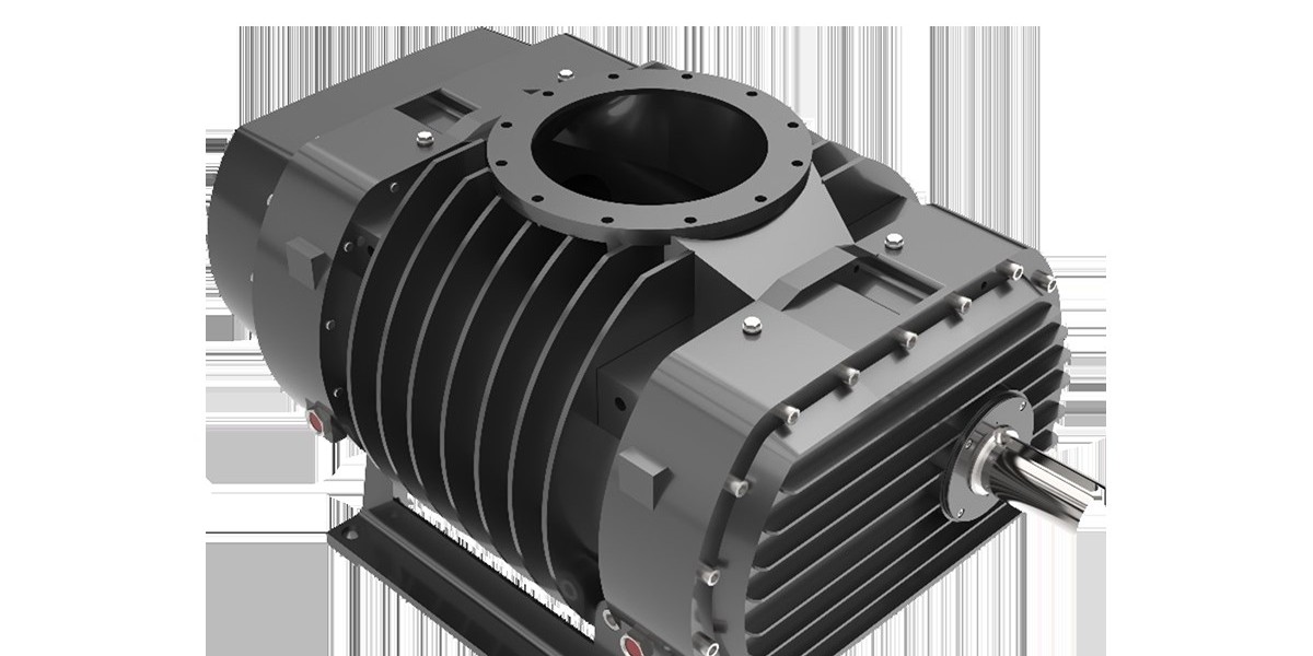 Maintaining Twin Lobe Blower Efficiency
