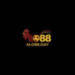 Alo88day Profile Picture