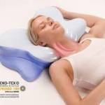 idabauchus Profile Picture