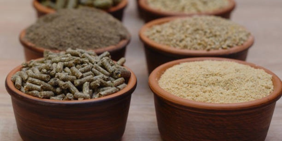 Feed Additives Market Insights: Growth Drivers,