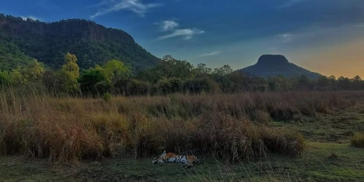The Art of Tiger Photography in Ranthambore