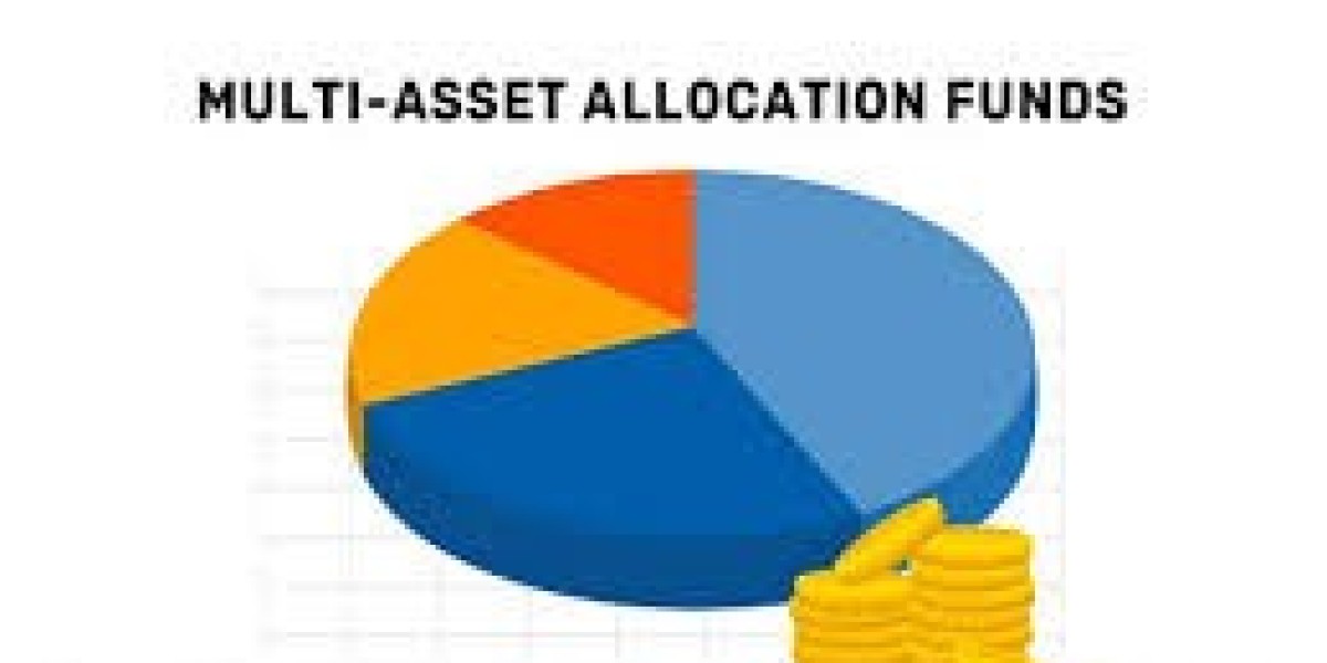 Investing in Multi Asset Allocation Funds