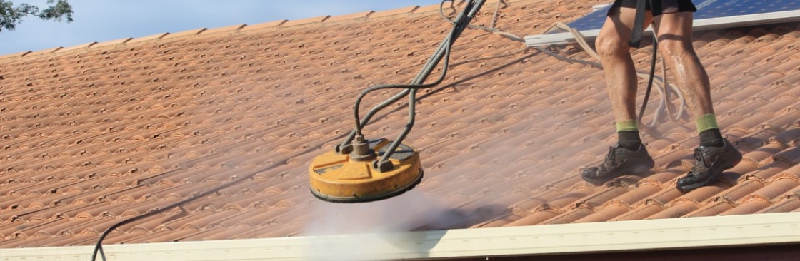 MI Roof Repair Cover Image