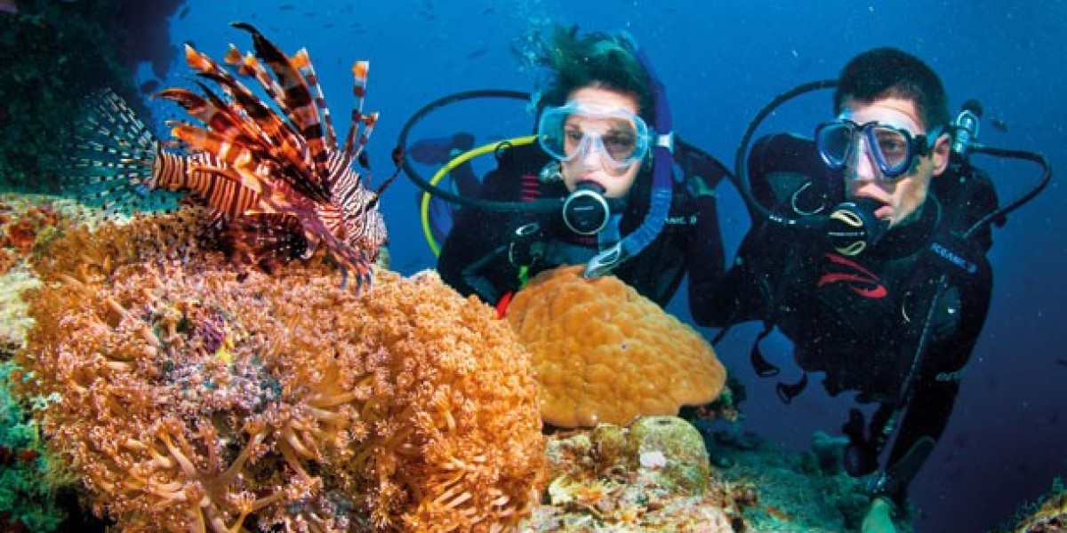 Raie Manta à Nusa Penida