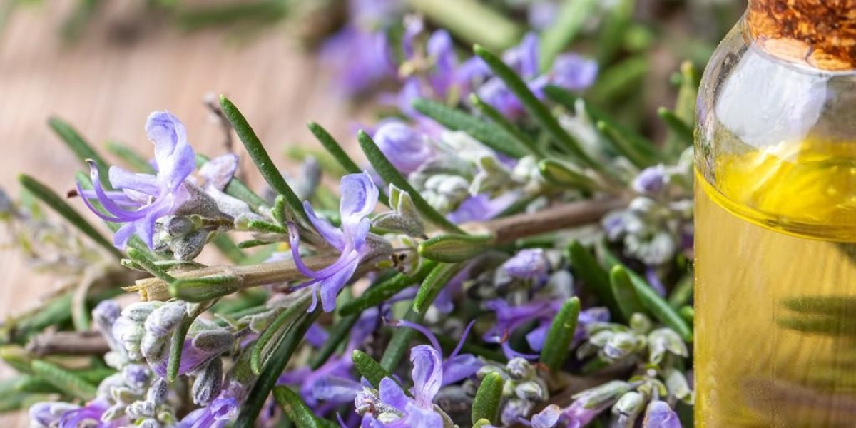 Rosemary Extract Market Trends Accelerated