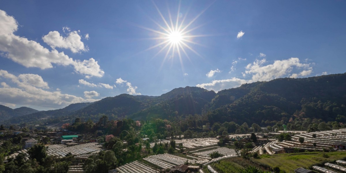 Maximize Energy Efficiency with Professional So