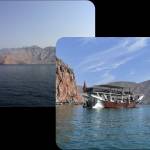 Dhow Khasab Profile Picture