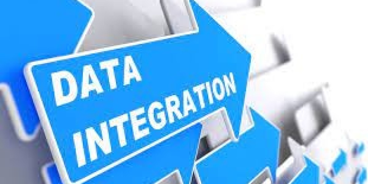 Integration Experts: The Backbone of Digital Tr