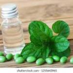 Peppermint Capsules Profile Picture